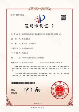 监测面积和深度可变的柔性近红外成像器件及其制备方法